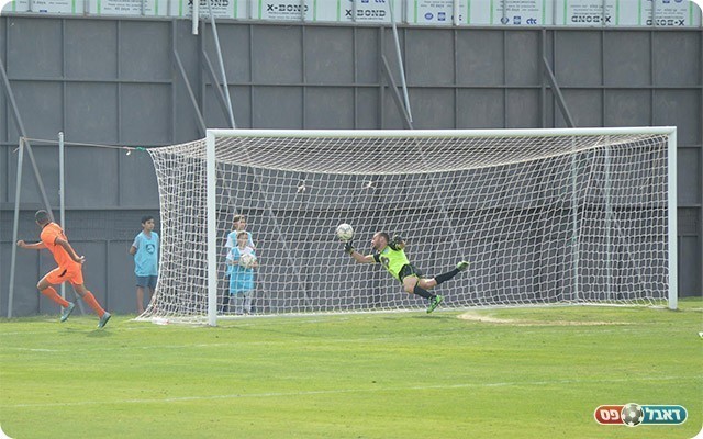 השער של סהר לוי (פרנסיסקו דיסטסיו)